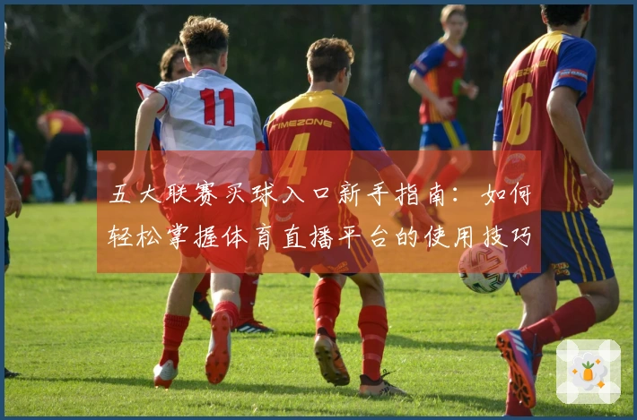 五大联赛买球入口新手指南：如何轻松掌握体育直播平台的使用技巧