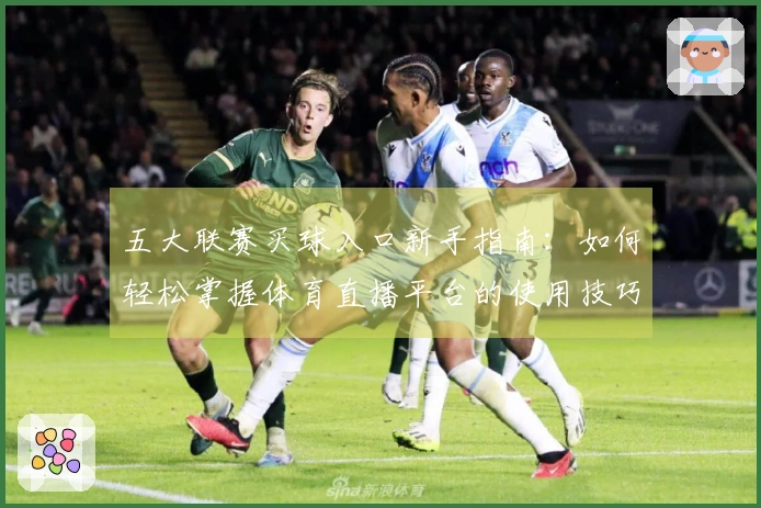 五大联赛买球入口新手指南：如何轻松掌握体育直播平台的使用技巧