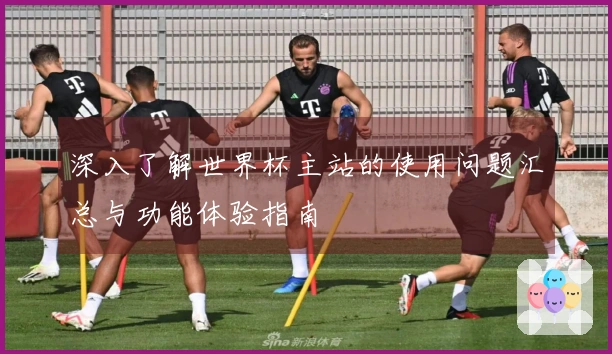 深入了解世界杯主站的使用问题汇总与功能体验指南