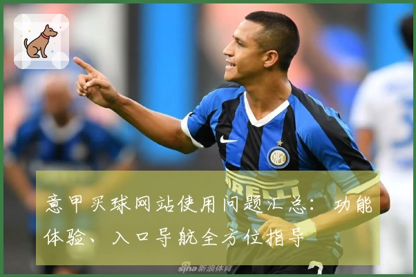 意甲买球网站使用问题汇总：功能体验、入口导航全方位指导
