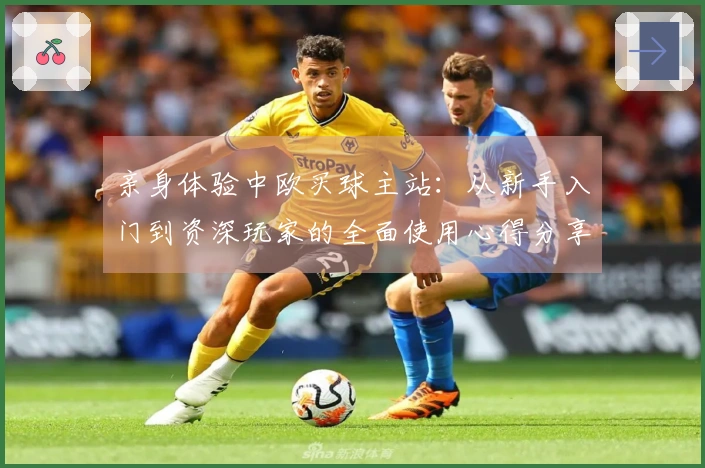 亲身体验中欧买球主站：从新手入门到资深玩家的全面使用心得分享