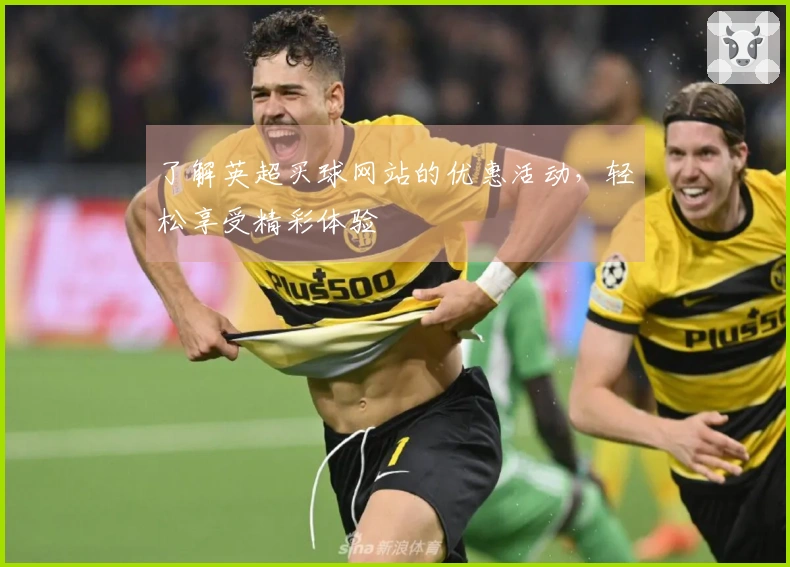了解英超买球网站的优惠活动，轻松享受精彩体验